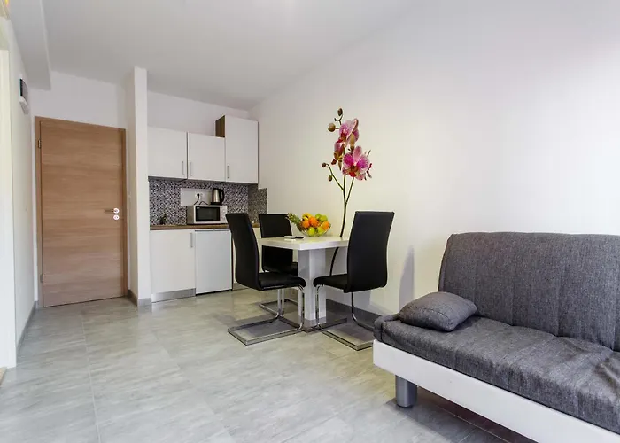 Luxury Apartments Budimir